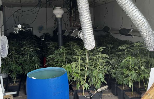 Hapsenje-Droga-Sremska Mitrovica (1).jpg