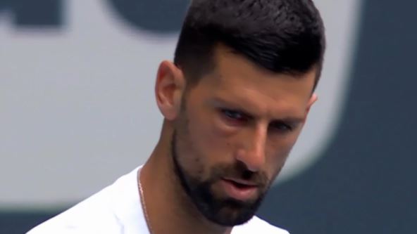 Novak, masnica.png