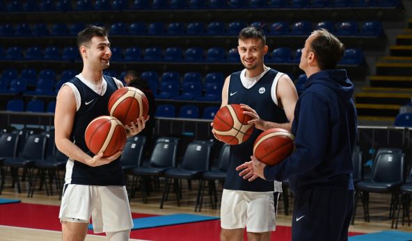 Mihailo Petrović i Aleksa Avramović