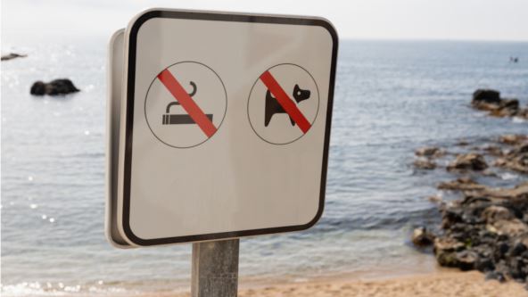 plaža Španija.jpg