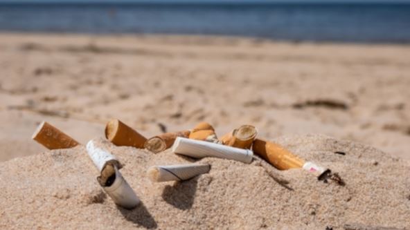opušci plaža.jpg