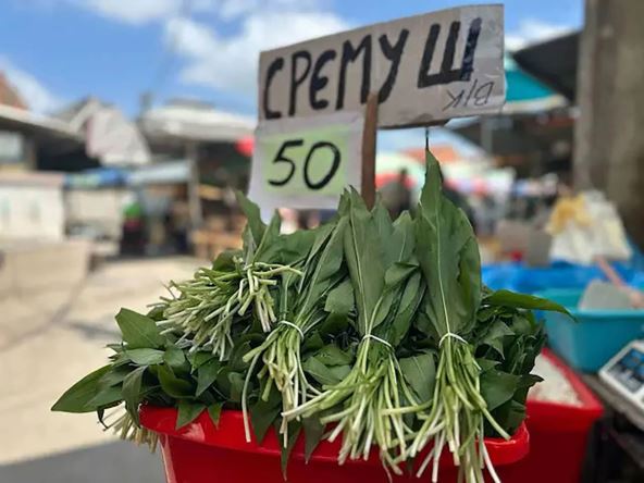 Sremuš i cena na pijaci