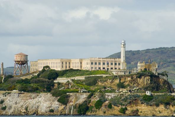Alkatraz uuoi (2).jpg