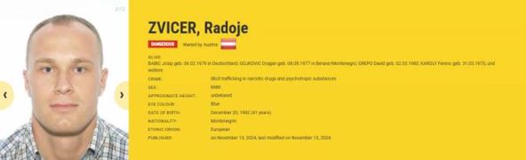 Radoje Zvicer 2.jpg
