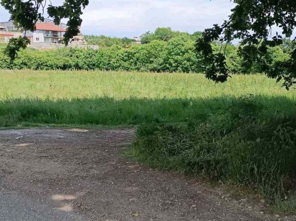 Ubistvo žene u Kragujevcu