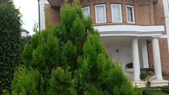 Senjak vila Goran Bregović