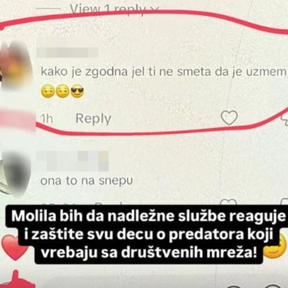 Aleksandra Subotić objava o pedofilu