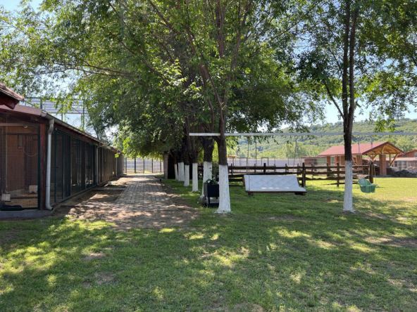 Eko farma Kladovo 4 copy.jpg