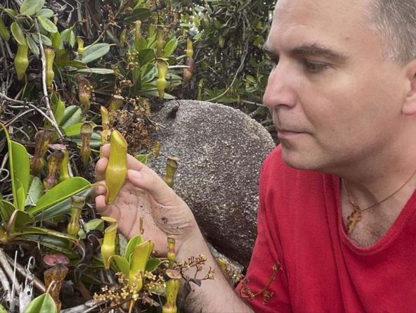 Viktor Lazić 1.jpg