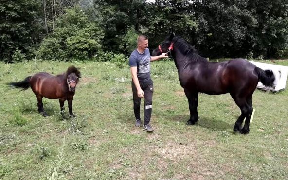 Admir Omerčević (3).jpg