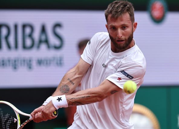 Korentan Mute (4).jpg