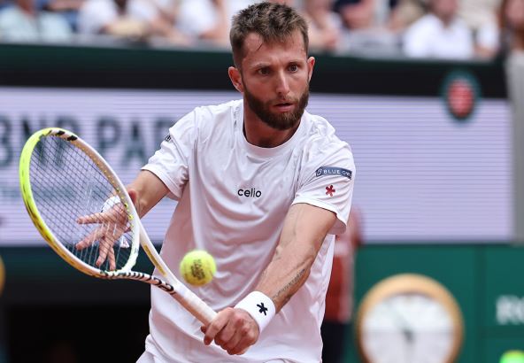 Korentan Mute (1).jpg