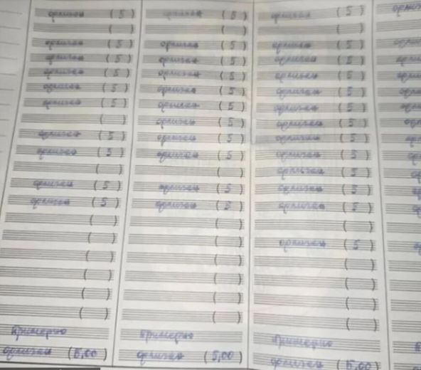 Jovana Jeremić đačka knjižica