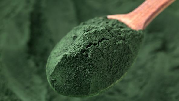 Spirulina alga 2.jpg