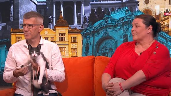Marija Stevanović i Goran Šarenac sa mačkom u emisiji