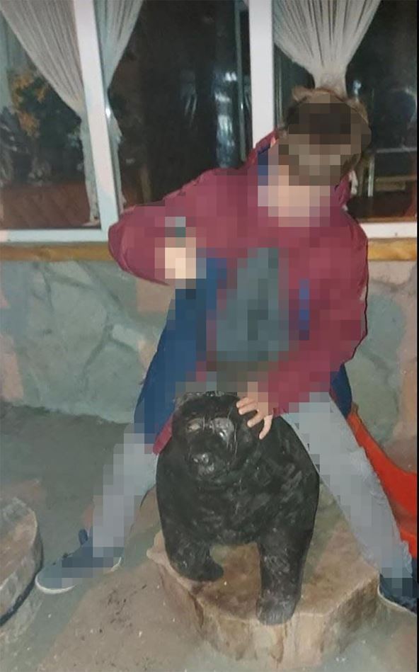 Maloletnik simulira klanje medveda.jpg