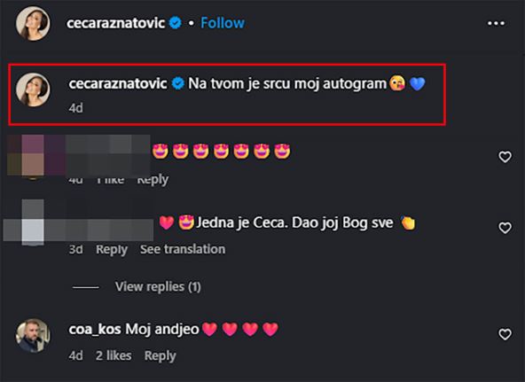 Aleksandar Kos komentar na Cecinu objavu
