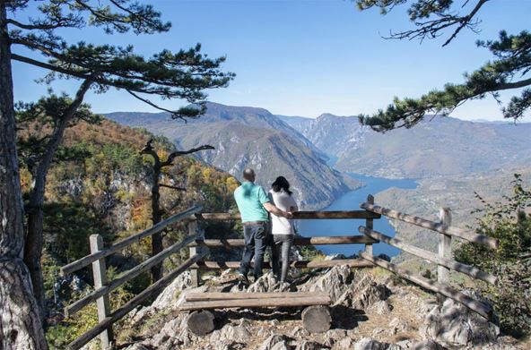 Screenshot_2 copy.jpg