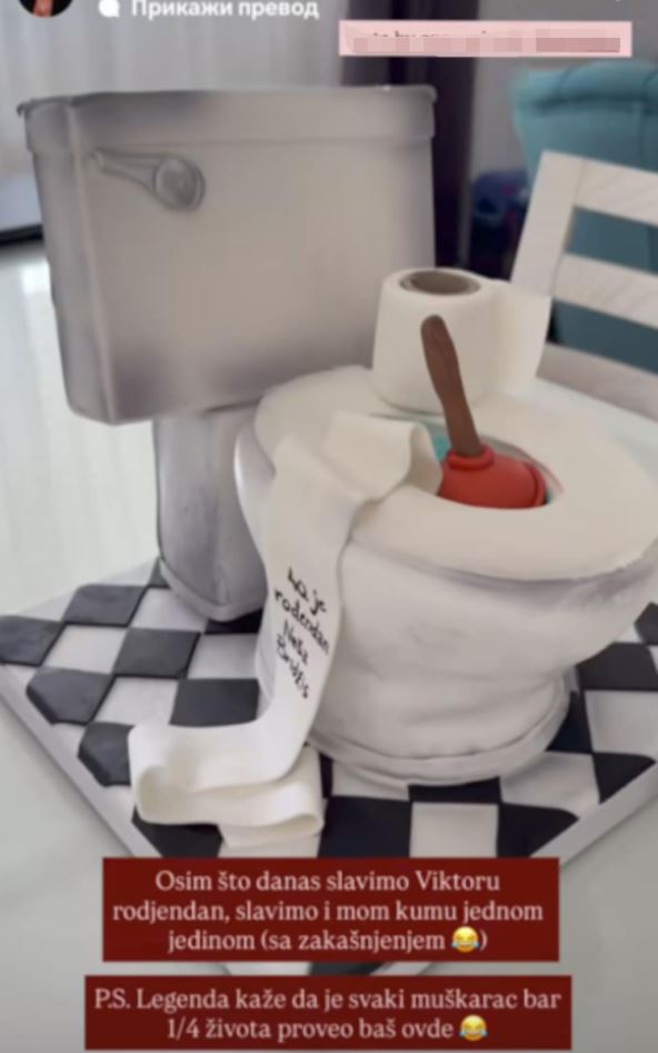 Dunja Jovanić torta wc šolja