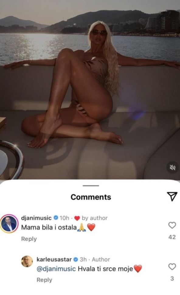 Đani odgovorio Karleuši