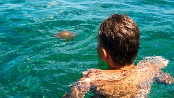 Dečak posmatra mediteransku meduzu na površini mora.