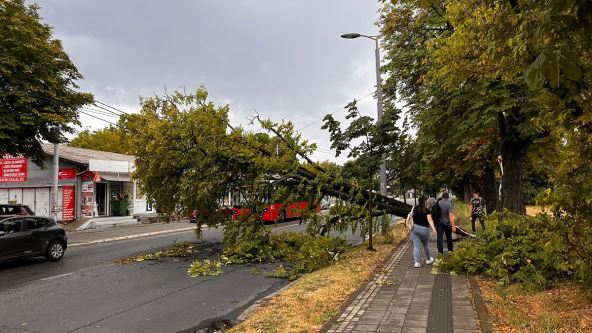 Banjica oluja (3).jpg