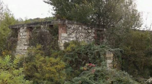 Kuća Tihomira Stanića zarasla je u šiblje