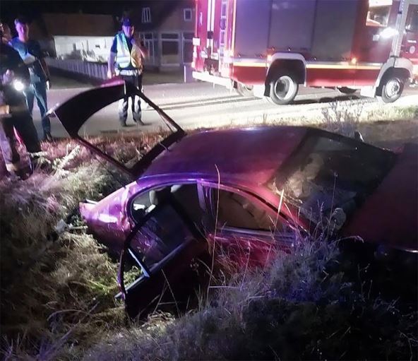 Goran Aleksić (2).jpg