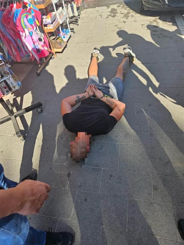 hapšenje Nikole Petrovića