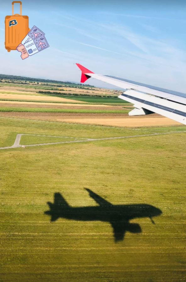 Objava Aleksandre Popović