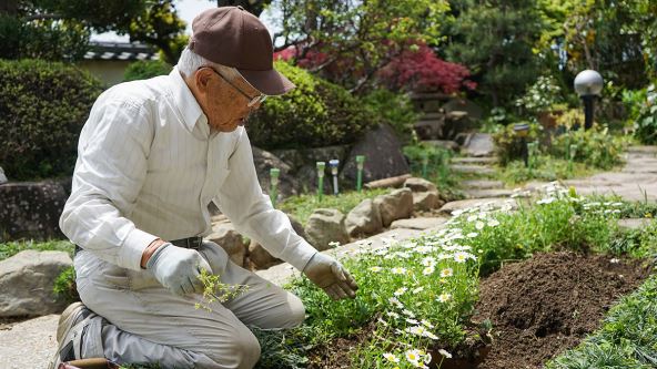 Japanac koji se bavi baštovanstvom
