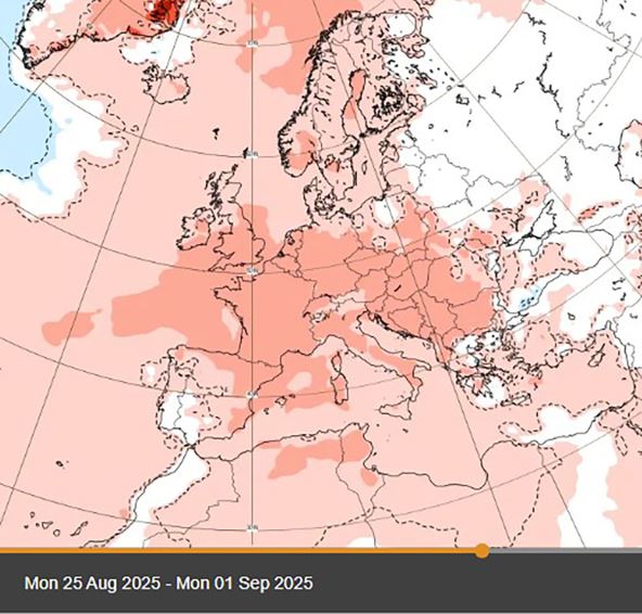 Toplotni talas (1).jpg
