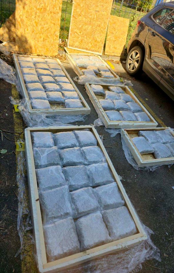 zaplena droge u Novom Sadu (1).jpg