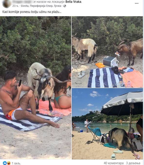 koze na plaži u Sivoti