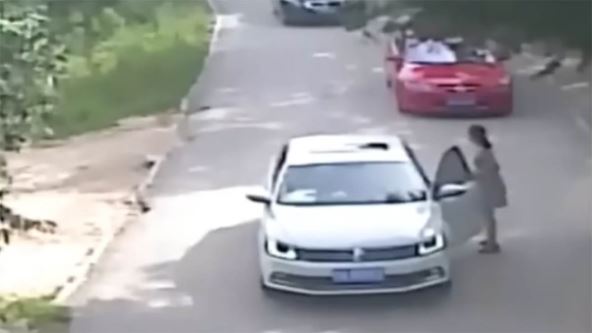 Tigar zgrabio ženu u safari parku (2).jpg