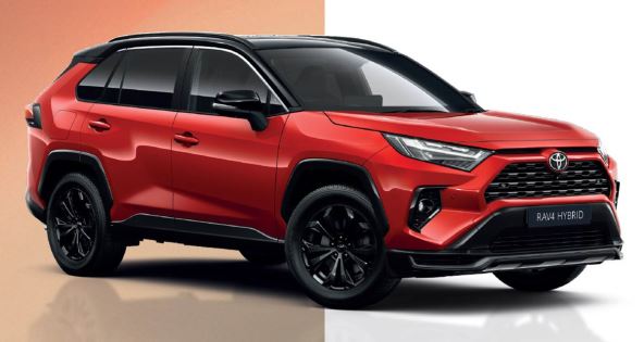 RAV4 pola-pola copy.jpg
