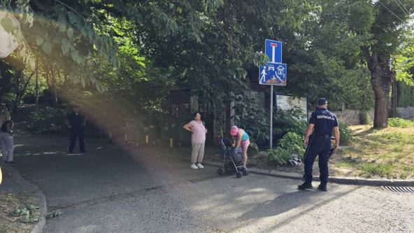 mesto gde je pronađena beba u Zemunu (7).jpg