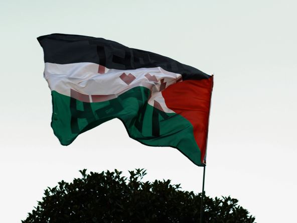 palestina_zastava_stefan_stojanović_ (3).jpg