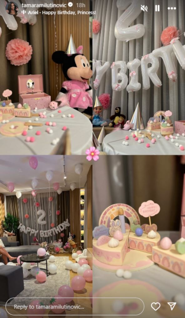 dekoracija za rođendan ćerke Tamare Milutinović