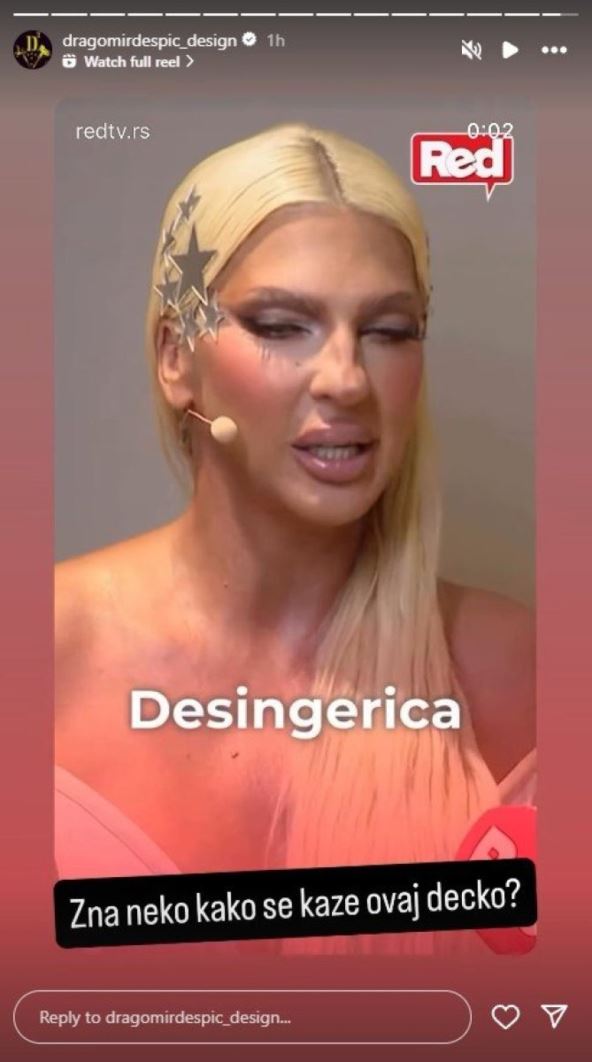 jelena karleuša,desingerica