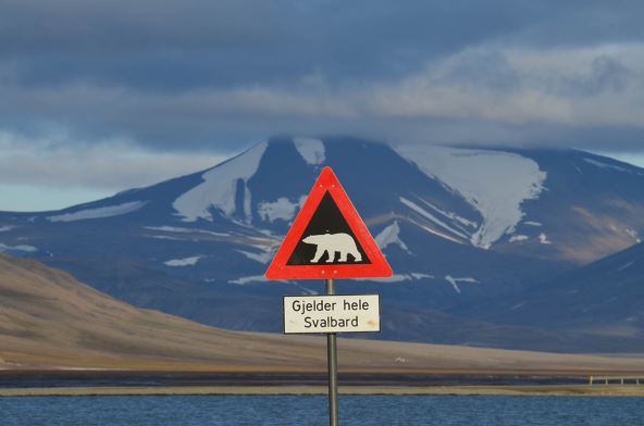 Upozorenje za medveda u Svalbardu.