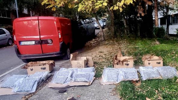 zaplena marihuane.jpg