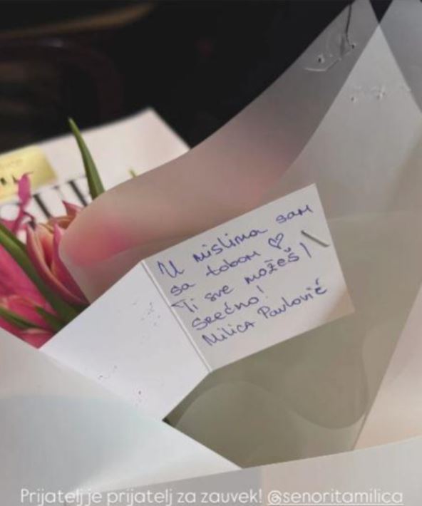 posveta Milice Pavlović Dragani Mićalović