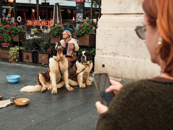 Žena snima bernardince u Knez Mihailovoj