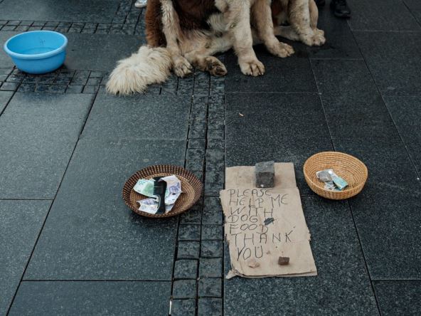 Karton sa natpisom za bernardince u Knez Mihailovoj