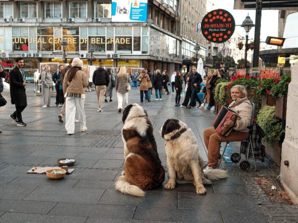 Bernardinci u Knez Mihailovoj i žena koja svira