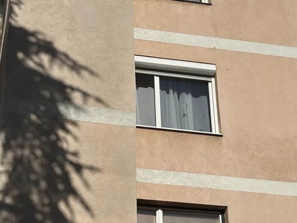 Pucnjava na voždovcu (3).jpg