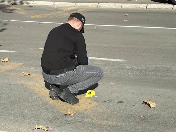 Pucnjava na voždovcu (1).jpg