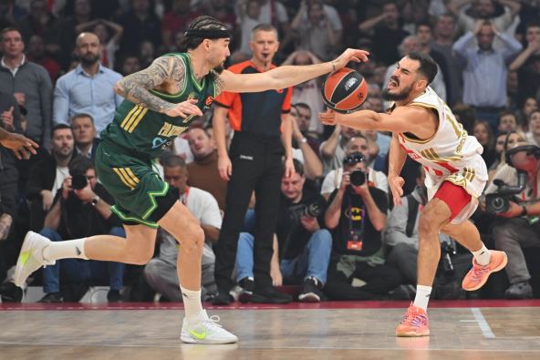 Crvena zvezda - Panatinaikos 27.JPG