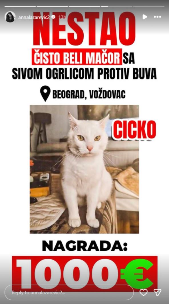 Ana Lazarević izgubila mačku